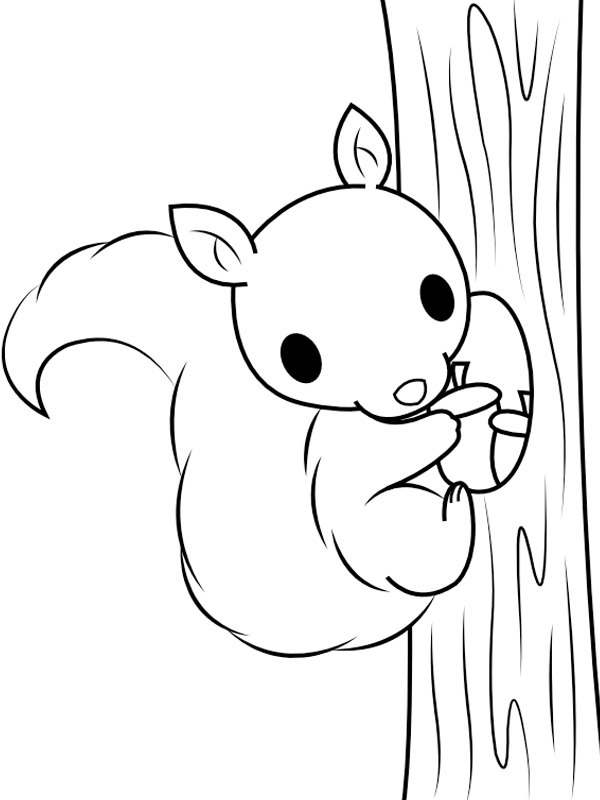 Dibujo de Ardilla trepa a un árbol para Colorear Dibujo de Ardilla trepa a un árbol para Colorear