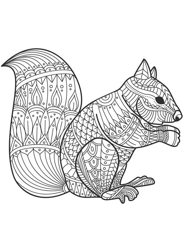 Dibujo de Ardilla para adultos para Colorear Dibujo de Ardilla para adultos para Colorear