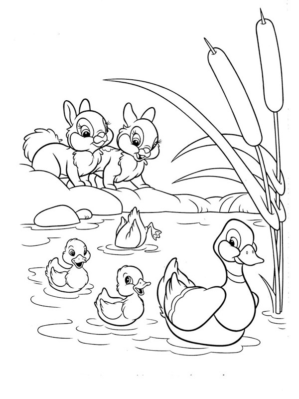 Dibujo de Patos y conejos para Colorear Dibujo de Patos y conejos para Colorear