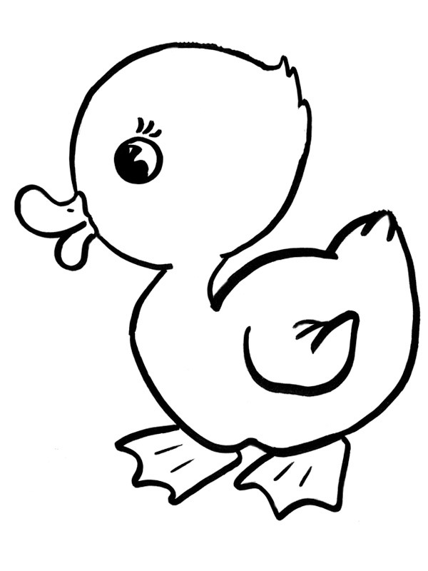 Dibujo de Pato para Colorear