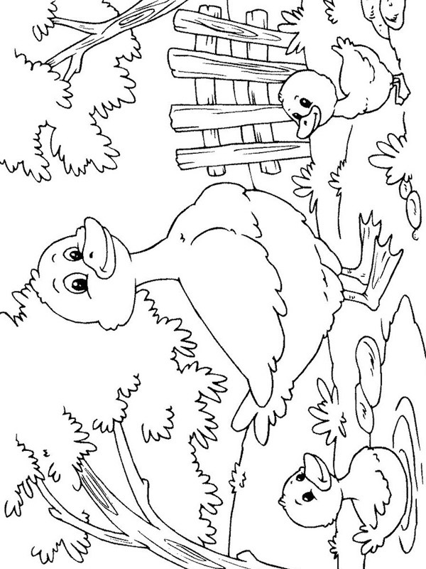 Dibujo de Patos con la madre pato para Colorear