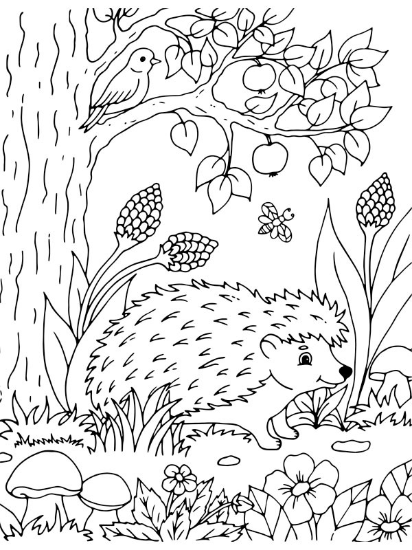 Dibujo de Erizo en la naturaleza para Colorear Dibujo de Erizo en la naturaleza para Colorear