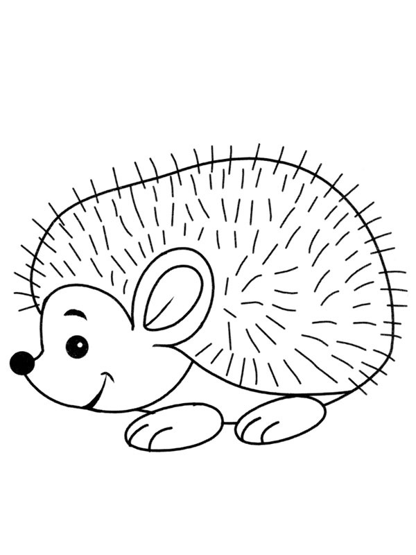 Dibujo de erizo con espinas para Colorear Dibujo de erizo con espinas para Colorear