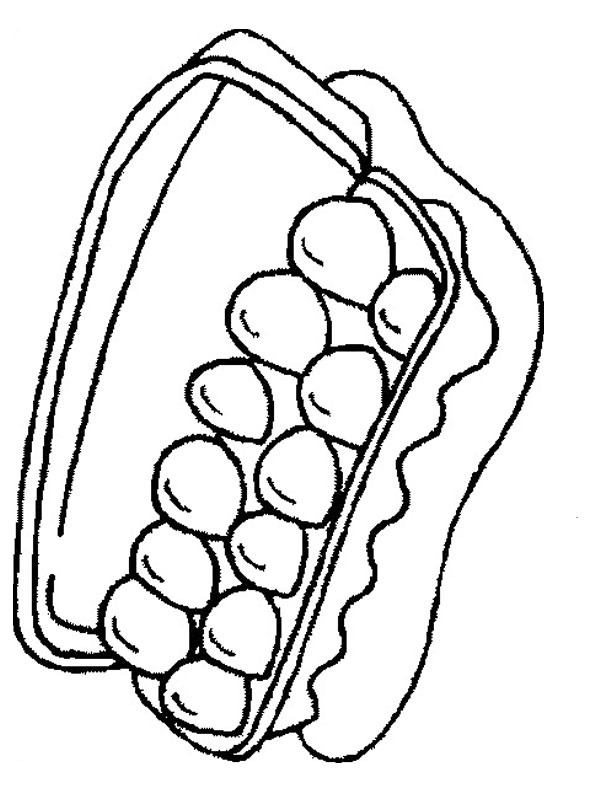Dibujo de Cajilla de huevos para Colorear Dibujo de Cajilla de huevos para Colorear