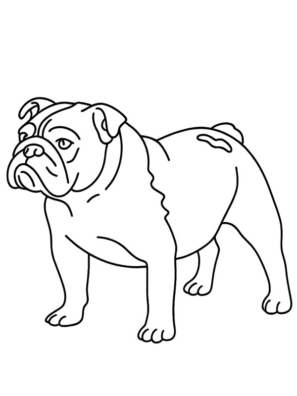Dibujo de Bulldog inglés para Colorear Dibujo de Bulldog inglés para Colorear