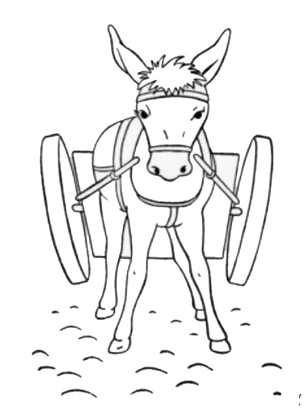 Dibujo de Burro para Colorear Dibujo de Burro para Colorear