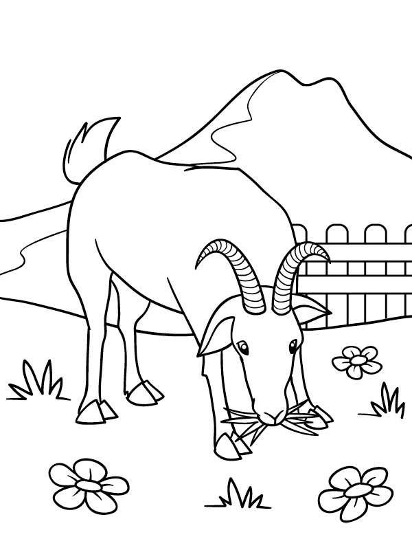 Dibujo de Cabra pastando en el pasto para Colorear Dibujo de Cabra pastando en el pasto para Colorear
