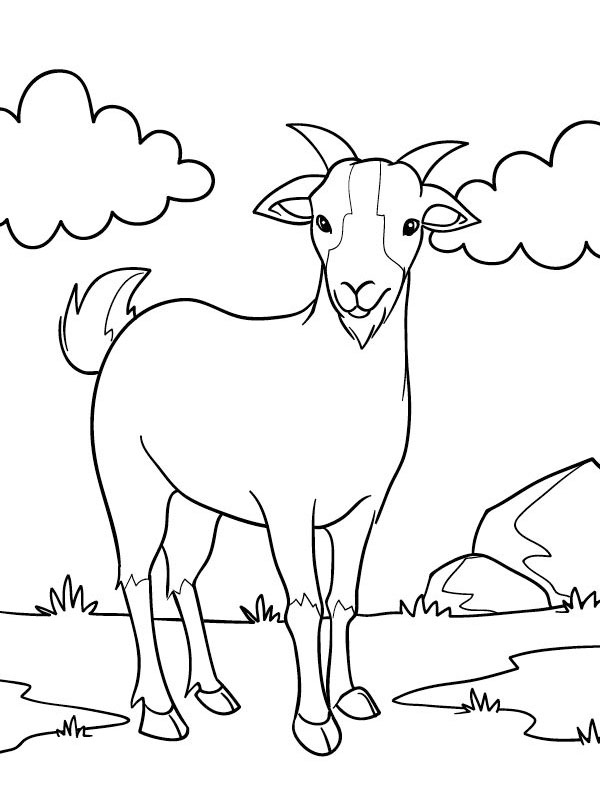 Dibujo de mirada de cabra para Colorear Dibujo de mirada de cabra para Colorear