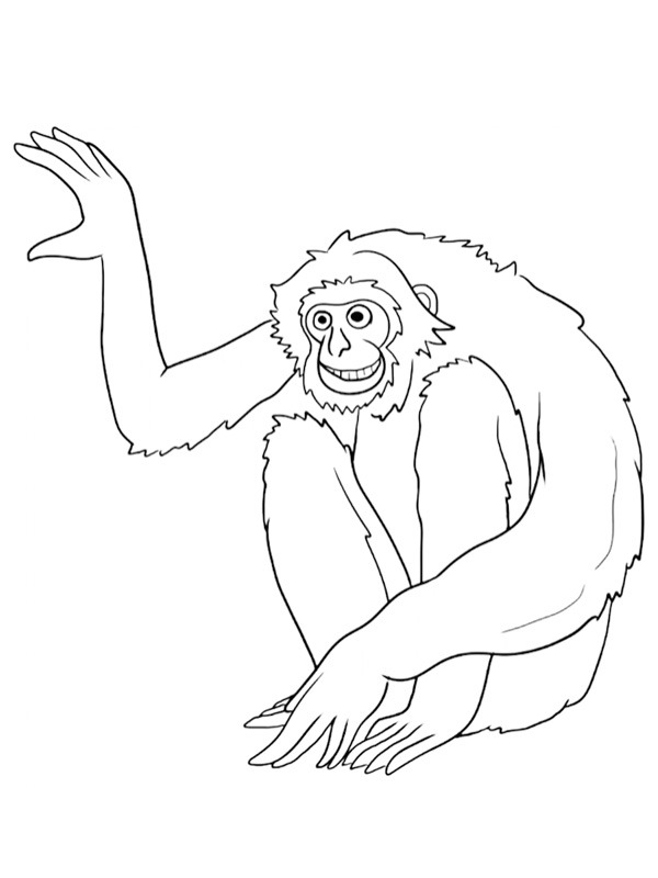 Dibujo de Gibón para Colorear Dibujo de Gibón para Colorear