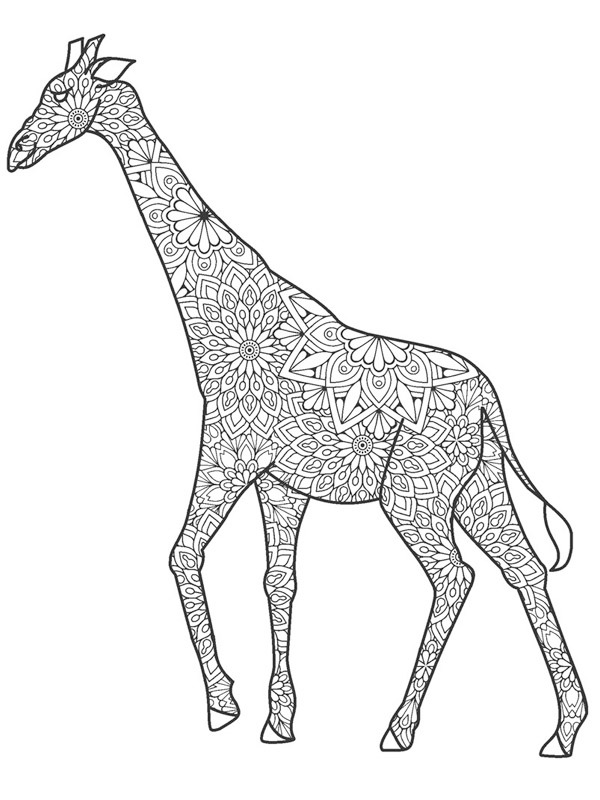 Dibujo de jirafa para adultos para Colorear