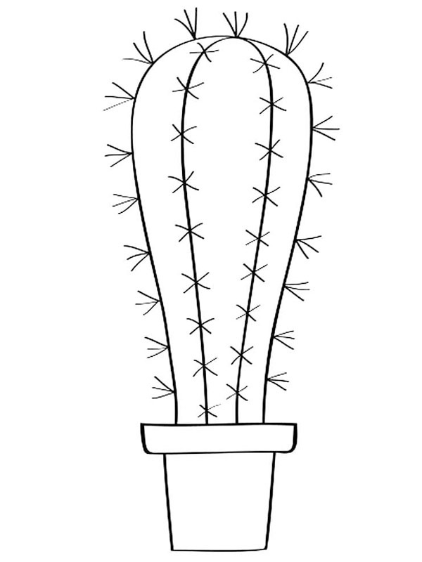 Dibujo de cactus grande para Colorear