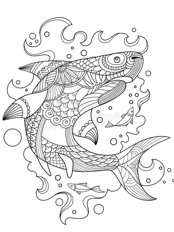 Dibujo de Tiburón para adultos para Colorear Dibujo de Tiburón para adultos para Colorear