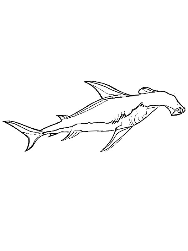 Dibujo de Tiburon Martillo para Colorear Dibujo de Tiburon Martillo para Colorear