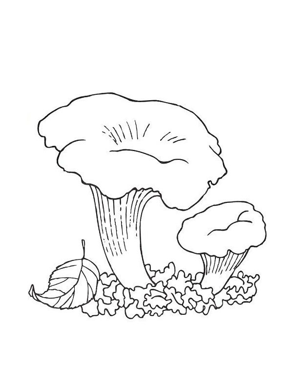Dibujo de cresta de gallo para Colorear Dibujo de cresta de gallo para Colorear