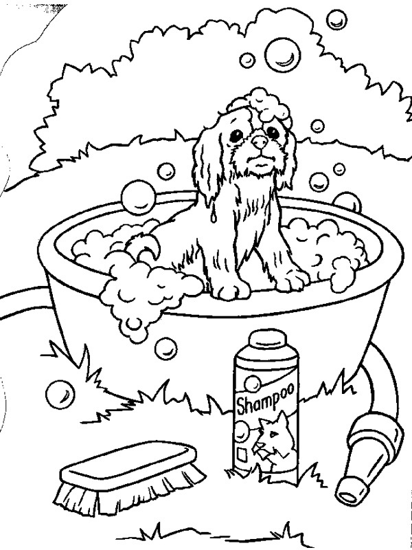 Dibujo de Perro en la tina para Colorear