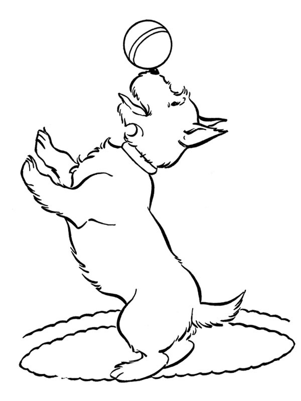 Dibujo de Perro con pelota para Colorear Dibujo de Perro con pelota para Colorear