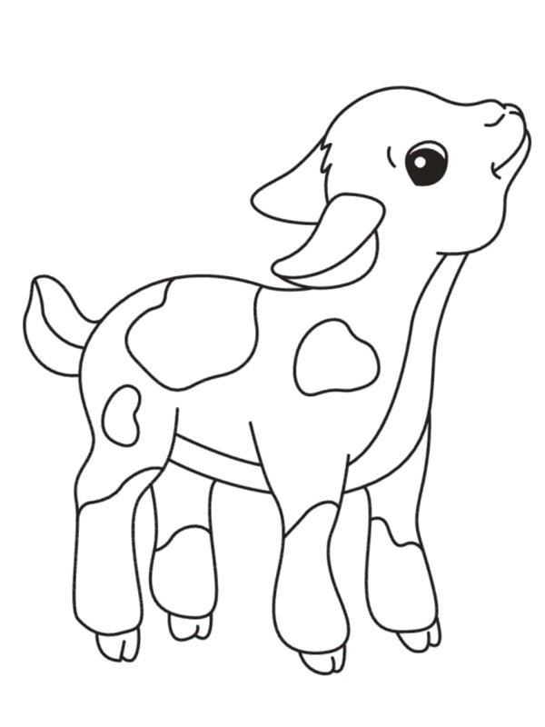 Dibujo de Ternero para Colorear Dibujo de Ternero para Colorear