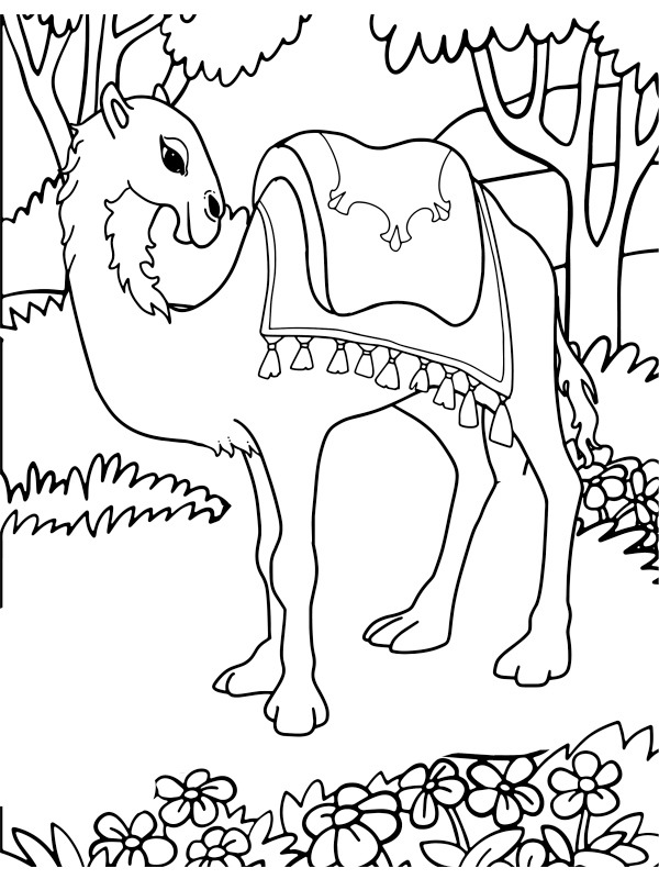 Dibujo de camello en la naturaleza para Colorear Dibujo de camello en la naturaleza para Colorear