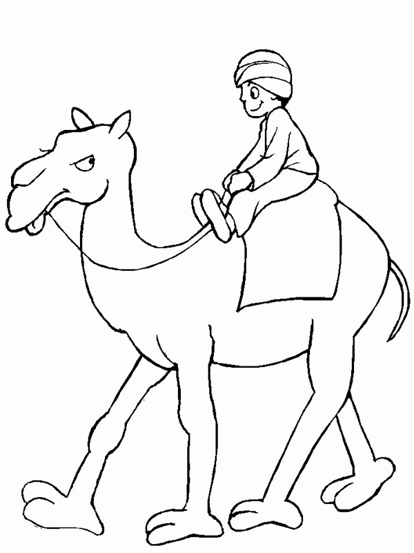 Dibujo de Camello para Colorear Dibujo de Camello para Colorear