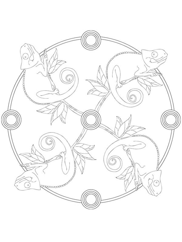 Dibujo de Mandala camaleón para Colorear Dibujo de Mandala camaleón para Colorear