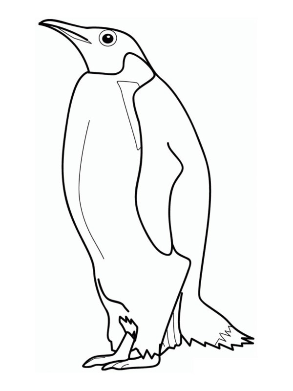 Dibujo de Pingüino emperador para Colorear