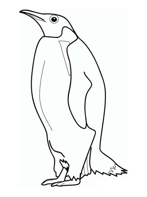 Dibujo de Pingüino emperador para Colorear Dibujo de Pingüino emperador para Colorear