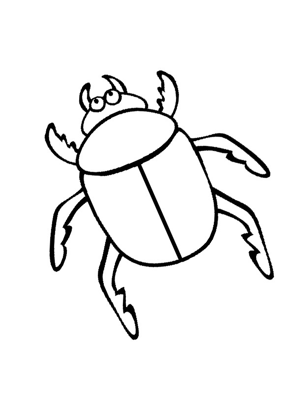 Dibujo de Escarabajo para Colorear