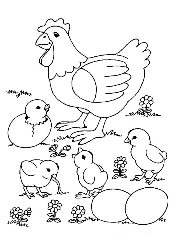 Dibujo de Gallina y pollitos recién nacidos para Colorear