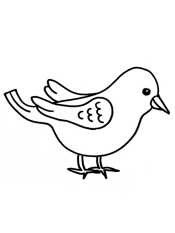 Dibujo de Pajarito para Colorear Dibujo de Pajarito para Colorear