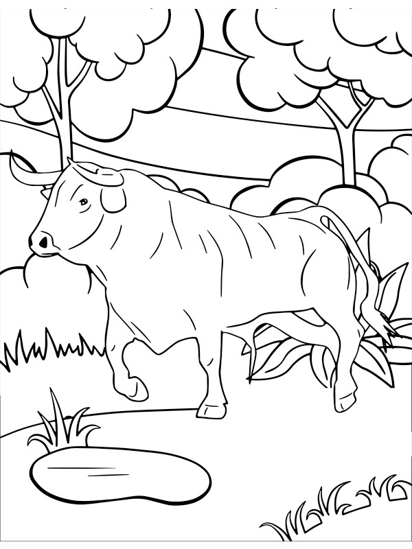Dibujo de vaca con cuernos para Colorear Dibujo de vaca con cuernos para Colorear