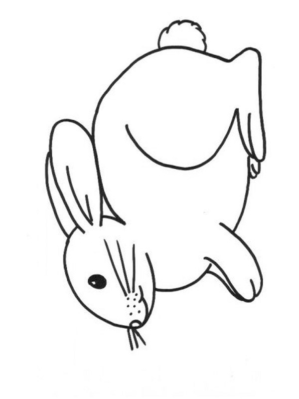 Dibujo de Conejo para Colorear