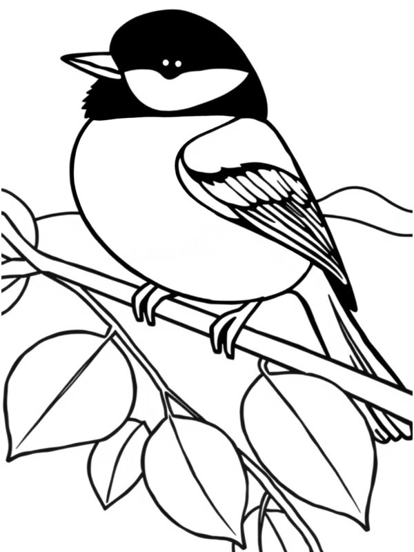 Dibujo de Carbonero común para Colorear Dibujo de Carbonero común para Colorear