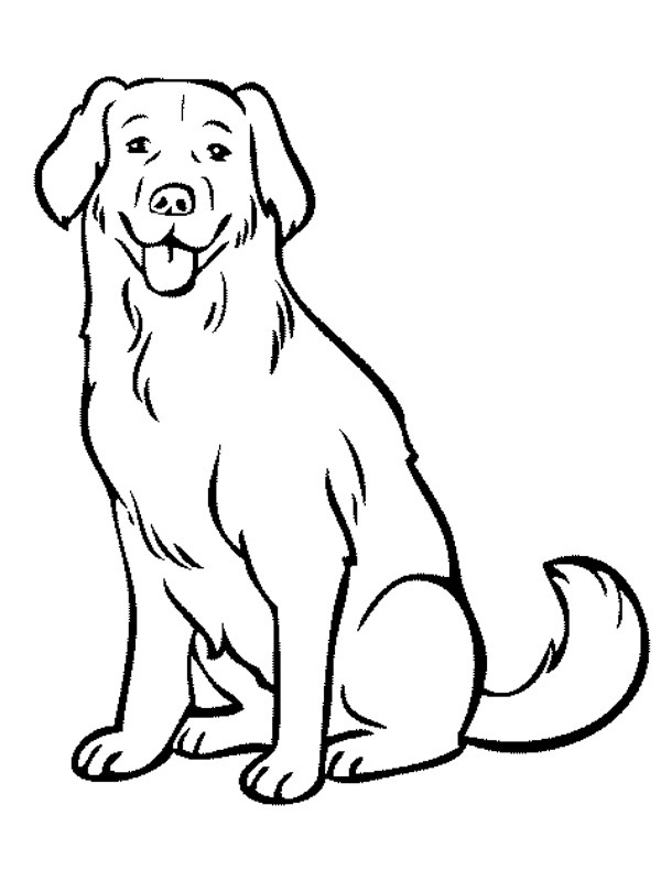 Dibujo de perro labrador para Colorear
