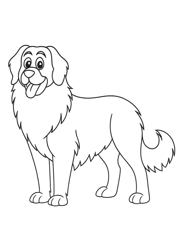Dibujo de Leonberger para Colorear Dibujo de Leonberger para Colorear