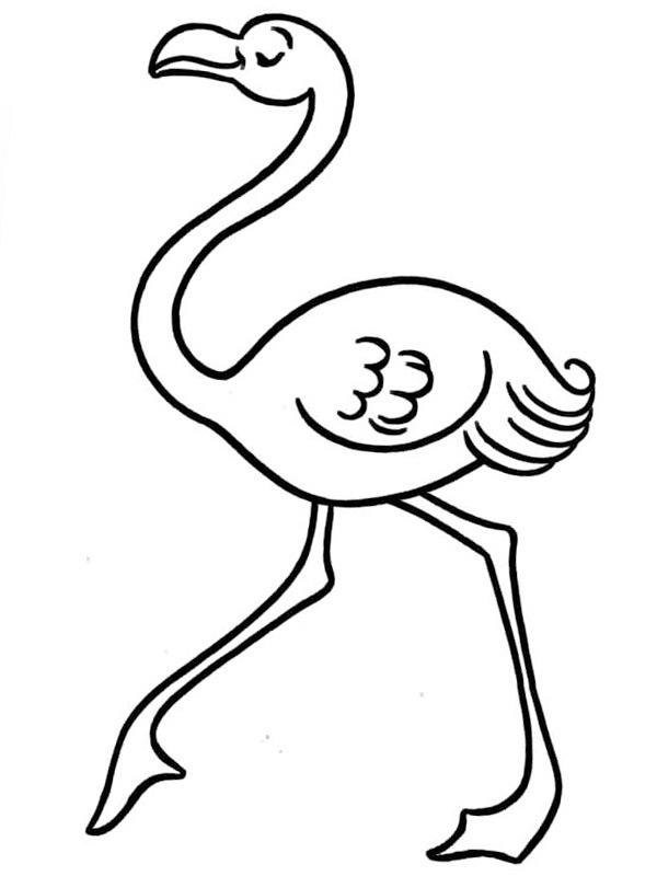 Dibujo de Flamenco corredor para Colorear Dibujo de Flamenco corredor para Colorear