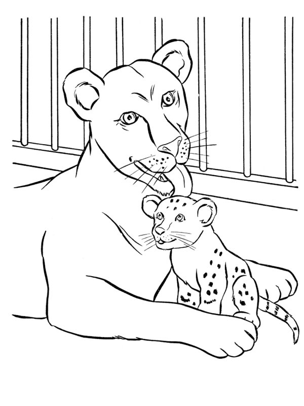 Dibujo de Leona Madre con Cachorro para Colorear