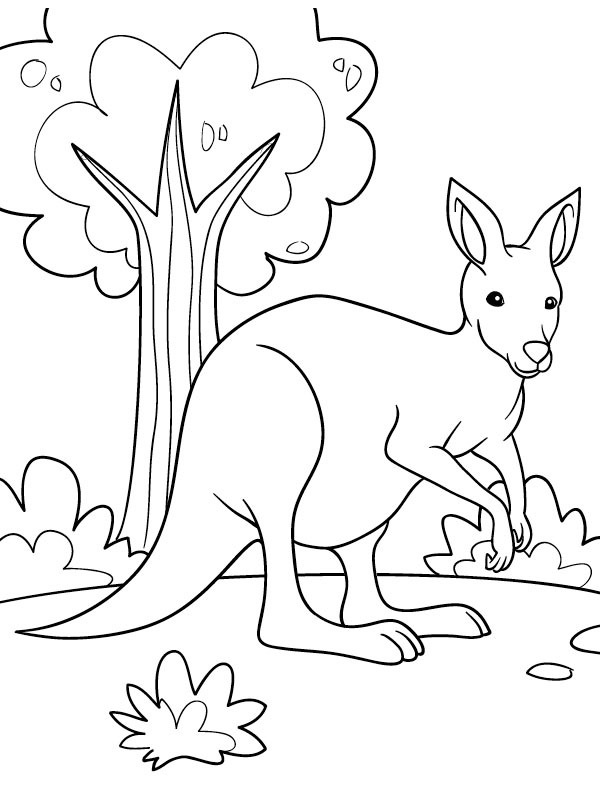 Dibujo de Precioso canguro para Colorear Dibujo de Precioso canguro para Colorear