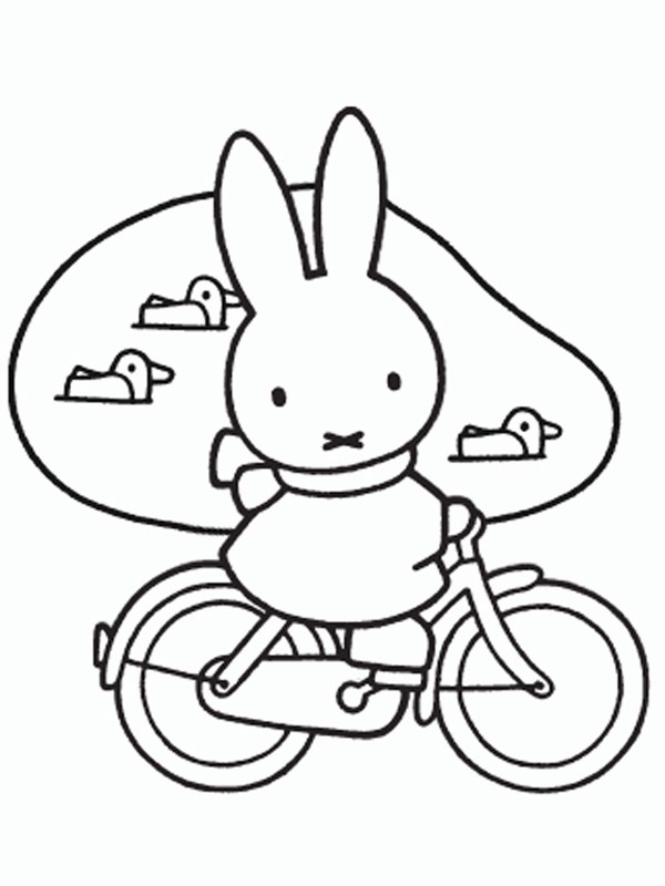 Dibujo de miffy en bicicleta para Colorear