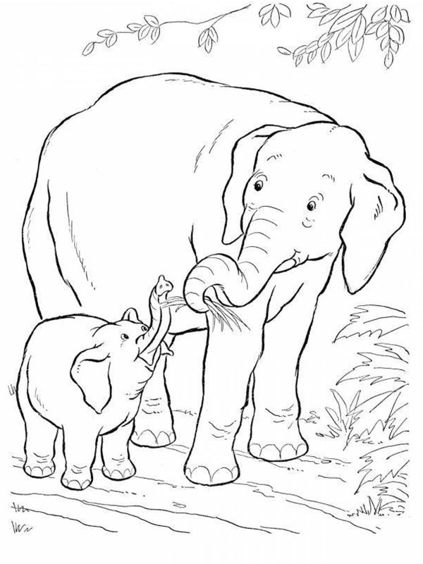 Dibujo de Elefante y bebé elefante para Colorear