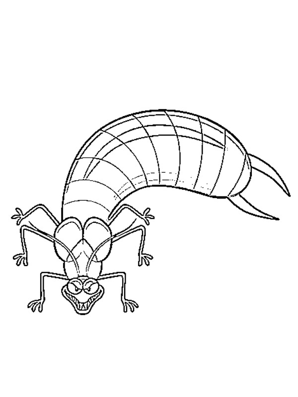 Dibujo de Tijereta insecto para Colorear