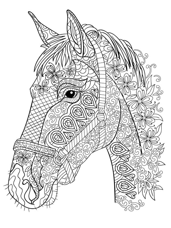 Dibujo de cabeza de caballo adultos para Colorear