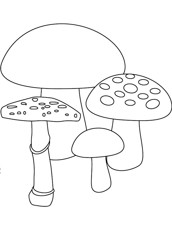 Dibujo de 4 hongos para Colorear