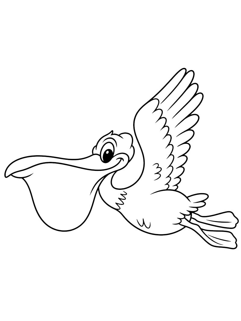 Dibujo de Pelícano para Colorear Dibujo de Pelícano para Colorear