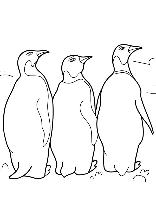 Dibujo de 3 Pingüinos para Colorear