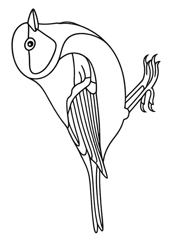 Dibujo de Herrerillo común para Colorear Dibujo de Herrerillo común para Colorear