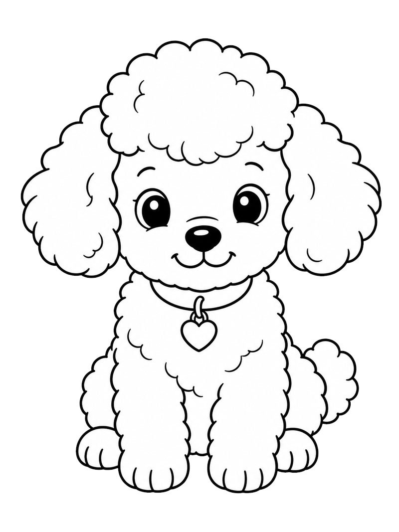 Dibujo de Cachorro Caniche para Colorear