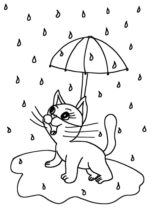 Dibujo de Gato bajo la lluvia para Colorear