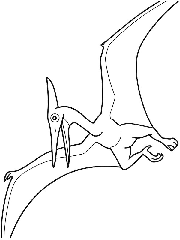 Dibujo de Pteranodon para Colorear Dibujo de Pteranodon para Colorear