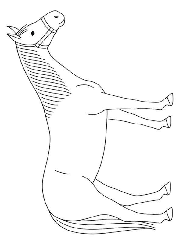 Dibujo de Quarter horse para Colorear Dibujo de Quarter horse para Colorear