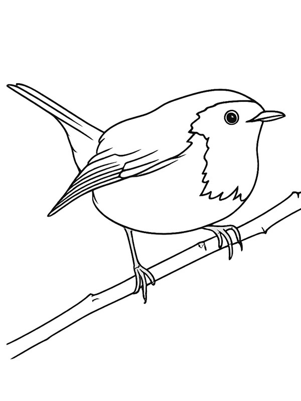 Dibujo de Petirrojo para Colorear Dibujo de Petirrojo para Colorear